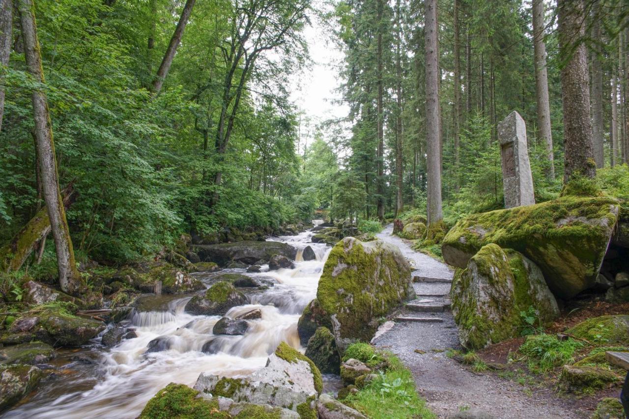 Ferienhaus Nordic Harmony Waldkirchen Exteriör bild